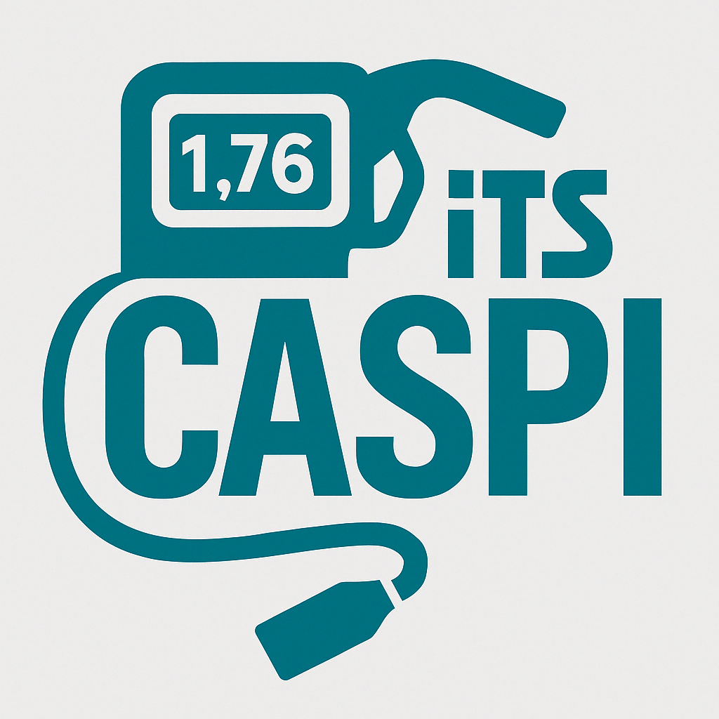 ITS Caspi Logo